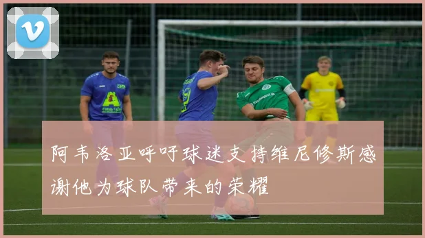 阿韦洛亚呼吁球迷支持维尼修斯感谢他为球队带来的荣耀